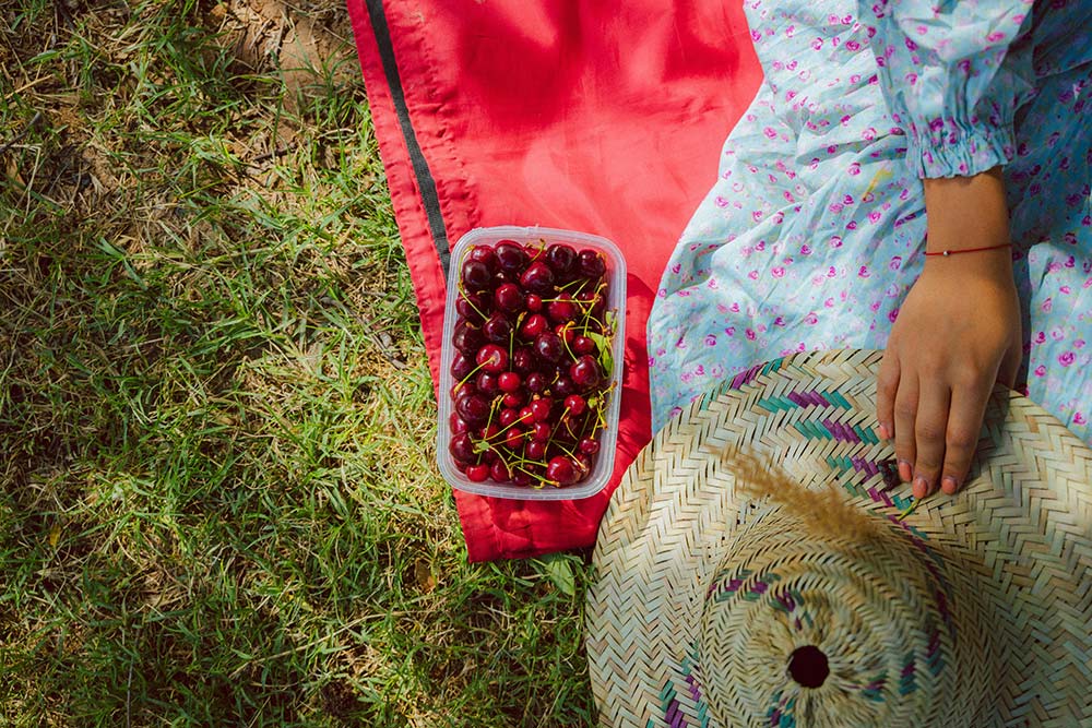 Hand Cherries and Straw Hat on Picnic Blanket