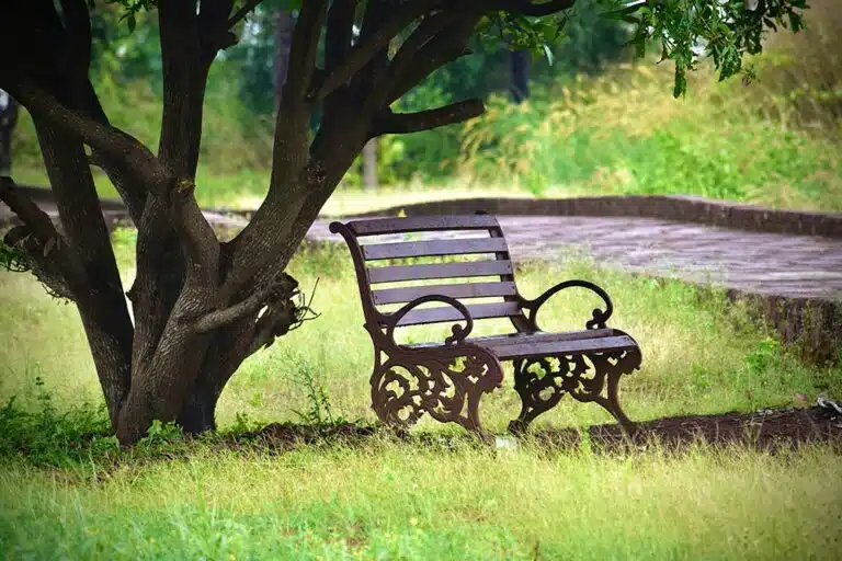 A wooden bench sitting next to a tree