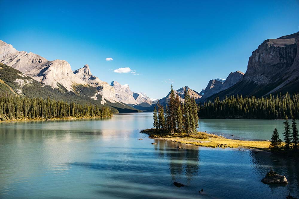serene lake with a tree covered island