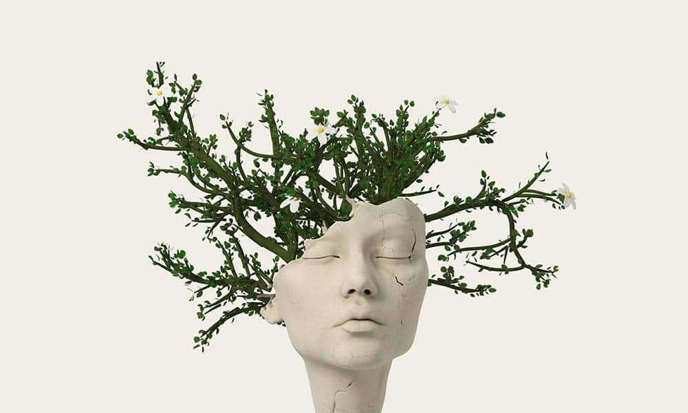 Cracked stone head with branches