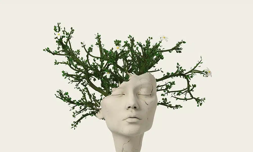 Cracked stone head with branches